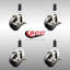 Jeu de roulettes extensibles en caoutchouc 316SS