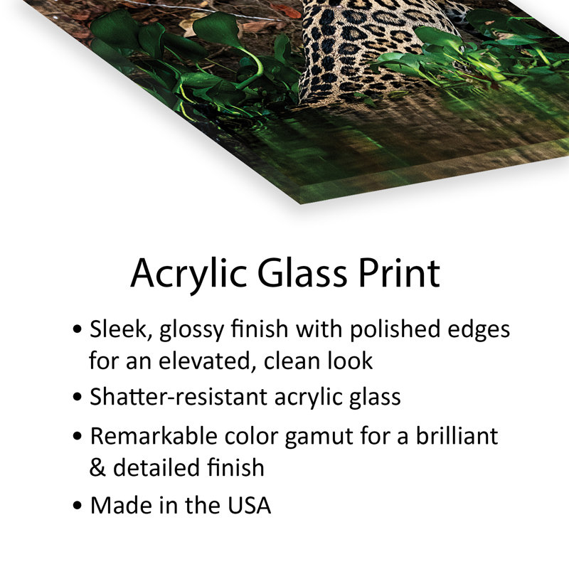 Jaguar Print On Acrylic Glass