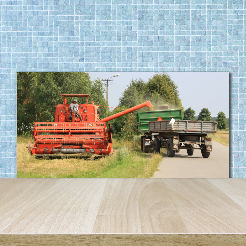 Basham 50cm W x 100cm L Glass Peel and Stick Panel
