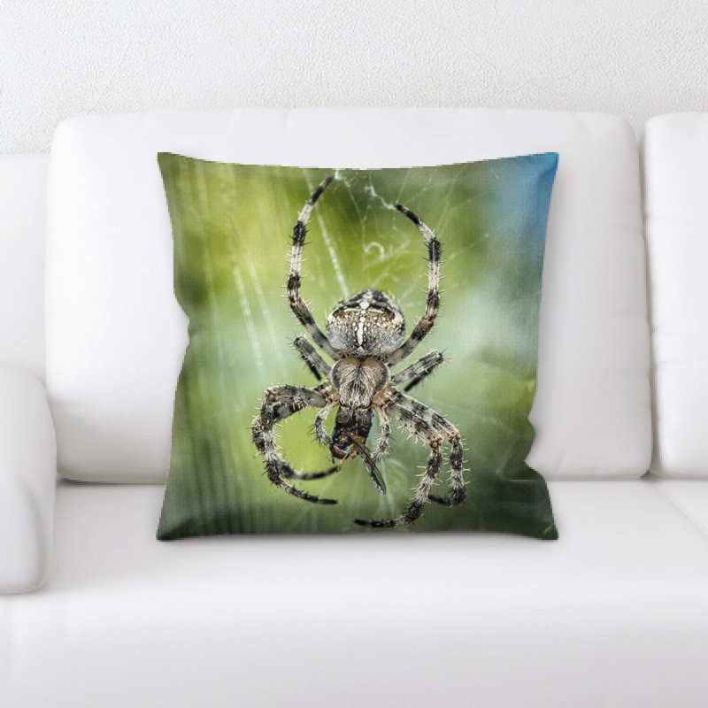 Coussin de spider