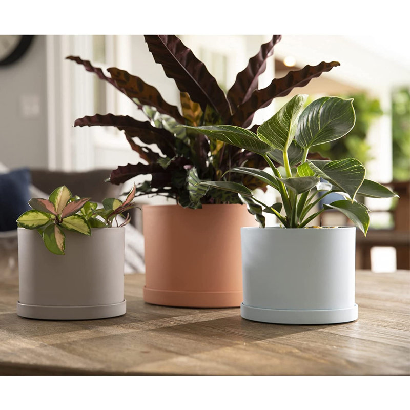 Pot à fleurs rond intérieur / extérieur en plastique moderne avec soucoupe, H 6,63 po x l 8,5 po x P 8,5 po