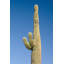 Buckeye, Arizona 7 Print by August Studios