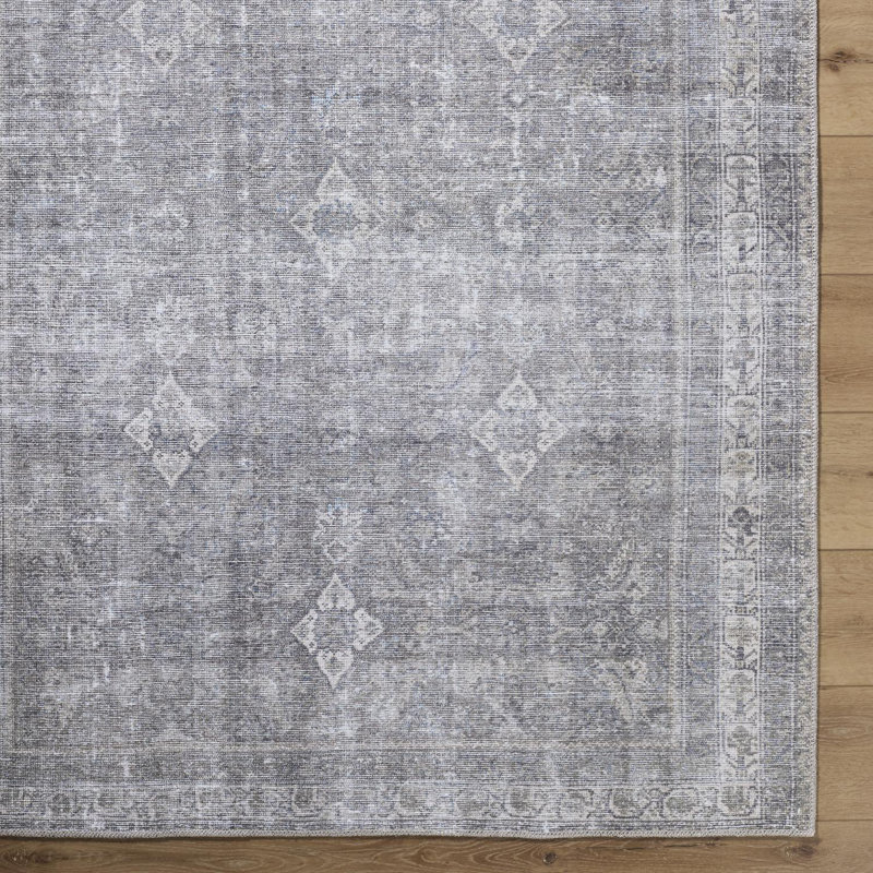 Tapis lavable à la machine Allizon, Tapis de couloir 2 pi 7 po x 10 pi