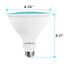 8 watts (45 watts équivalents), DEL PAR38, ampoule à DEL colorée, culot moyen E26 (standard)-73484793-128880036
