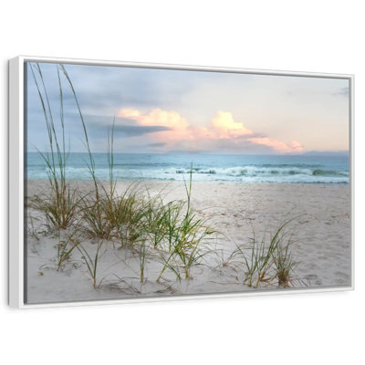 Beach Driftwood