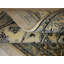 Orlean Oriental Area Rug in Beige