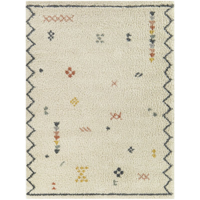 Kashvi Southwestern Shag Area Rug