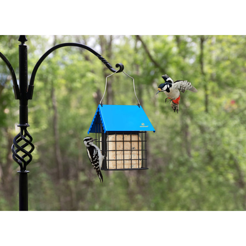 Blue Metal Hanging Suet Bird Feeder with Double Cage