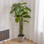 160cm Faux Tropical Plant Tree in Pot