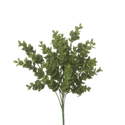 Jet eucalyptus