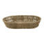 World Menagerie Box-41407552