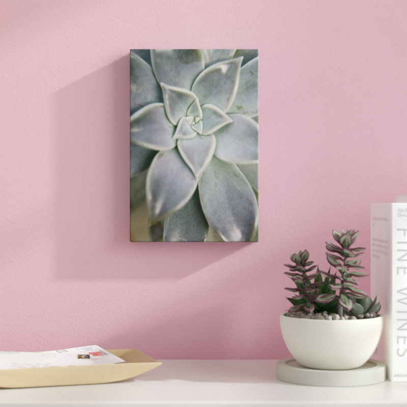 Hanging Garden Succulent I by Jason Johnson - Photograph Print, 30cm H x 20cm W, Wrapped Canvas