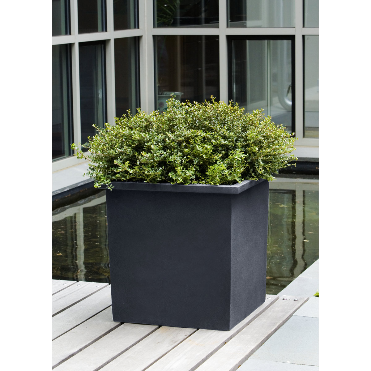 Campania International Bardo Square Planter