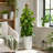 4 Pack 16'' Stackable Coco Coir Moss Poles for Climbing Plants