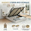 Lit plateforme de rangement capitonné en velours, style glamour contemporain, Queen, couleur crème-36105279-36105248