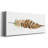 " Tail Feather I "-1474660953