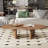 Sintered Stone Tabletop Coffee Table With Stainless Steel Base