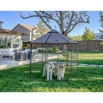 Pet Gazebo Dog Kennel Play Pen with Market Top Canopy