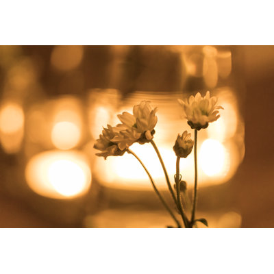 Warm Feeling Flowers - Wrapped Canvas Print