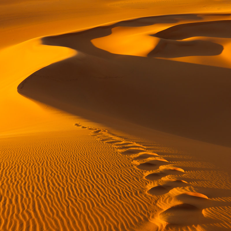 Murzuq Desert, Sahara, Libya 1 Piece Wrapped Canvas Wall Art, 122cm H x 122cm W