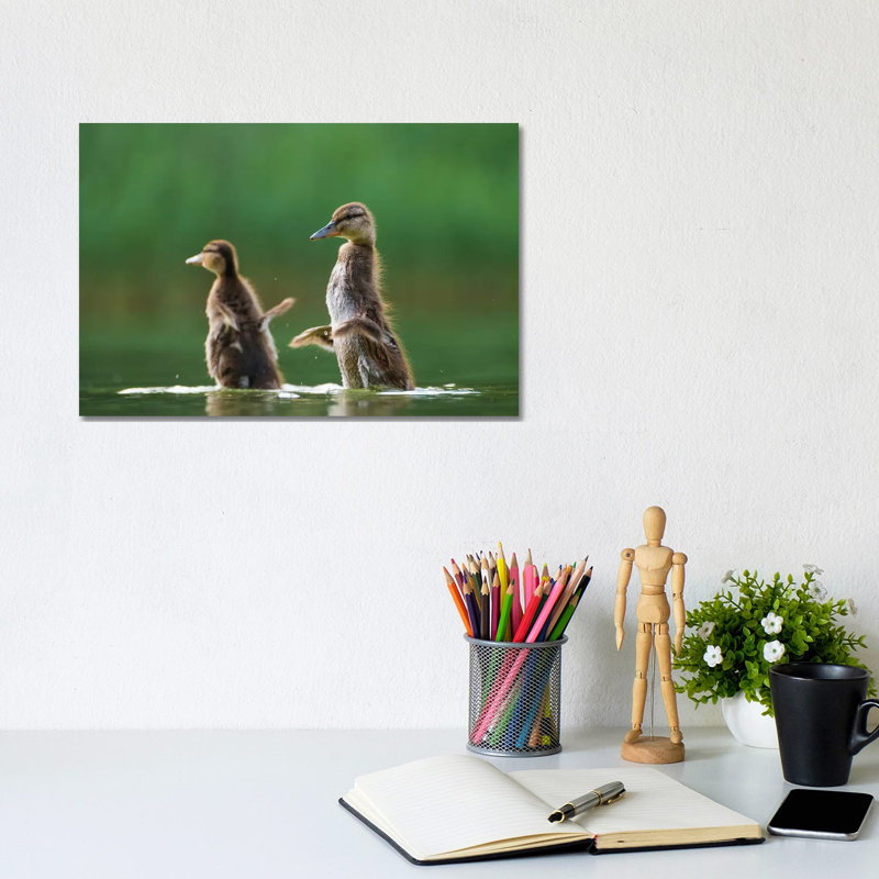 I Want To Fly by Mateusz Piesiak - Wrapped Canvas Print, 20.32 cm H x 30.48 cm W