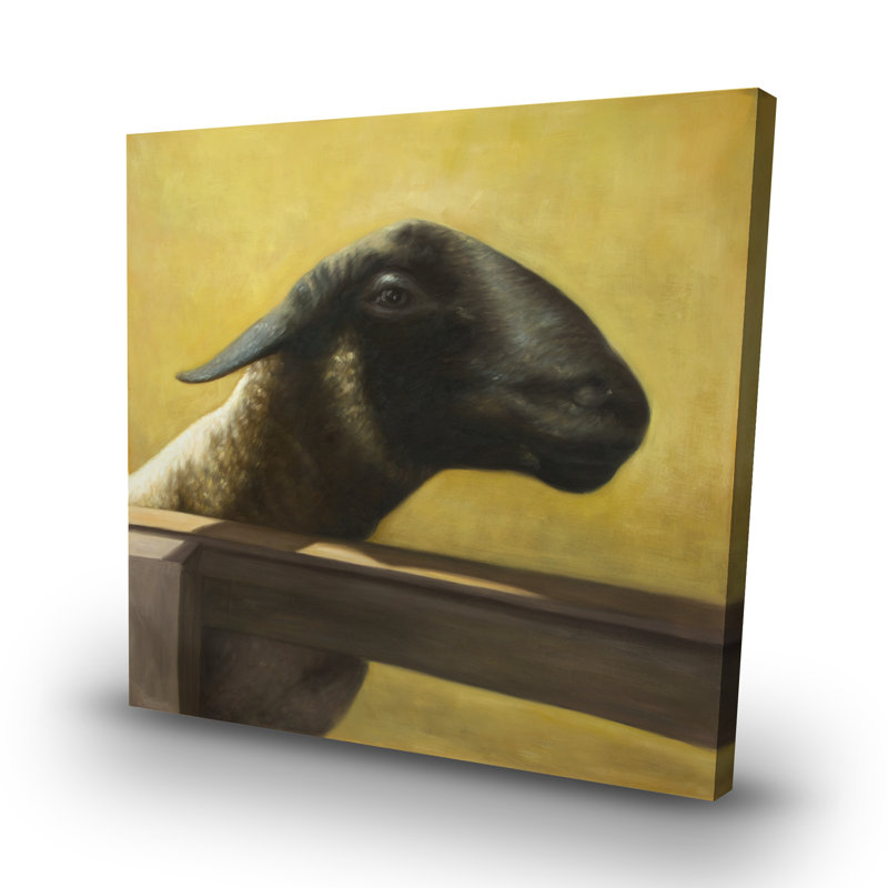 Young ram - 32"x32" art on canvas