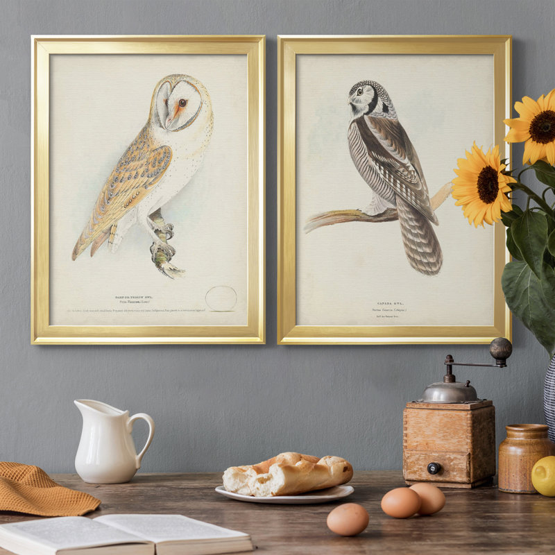 Barn Owl - Ensemble de 2 peintures sur toile encadrées, Or, H 30,5 po x l 45 po x P 1 po