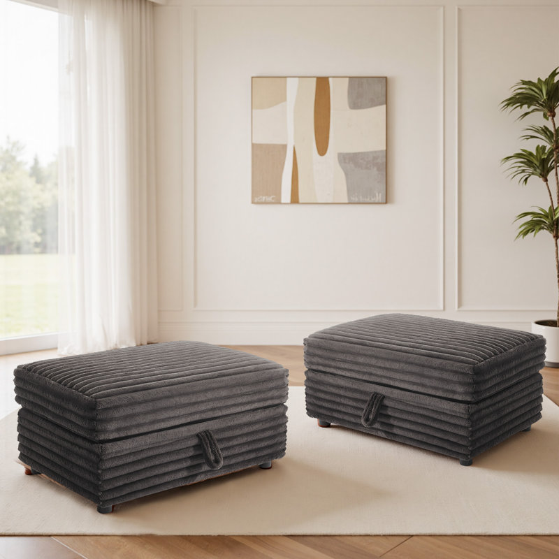 Modern Upholstered Faux Fur Square Storage Ottoman(Set Of 2), Chocolate
