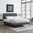 Macie Platform Bed with Round Splayed Legs-539381003-539380993