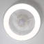Ceiling Fan with LED Lights