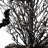Halloween Bat Plants & Flowers Tabletop Tree