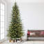 Hachmin 10' Lighted Artificial Fir Christmas Tree