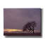 «Field» par PhotoINC Studio-705298975