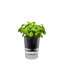 Gefu Growing Kit