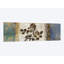 Anthropologie I - impression sur toile tendue-31498308-73270442
