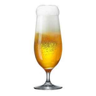 Beer Stemmed Pilsner Glass 17 oz. (Set of 6)