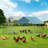 Dayson Metal Chicken Run Coop, Walk-in Poultry Cage with Waterproof & Anti-UV Cover Lockable Door Design-1836165773