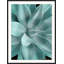 Bold Agave 2 Framed Photographic Print