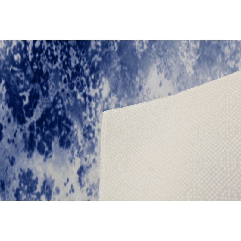Premium Hall Carpet (3.3 x 6.6 ft), 100% Polyester, 0.4 in Pile Height | Antibacterial, Non-Slip PVC Dot Underside | Machine Washable, 3D Digital Printing | Ideal for Living Room, Bedroom, and Entryway Decor