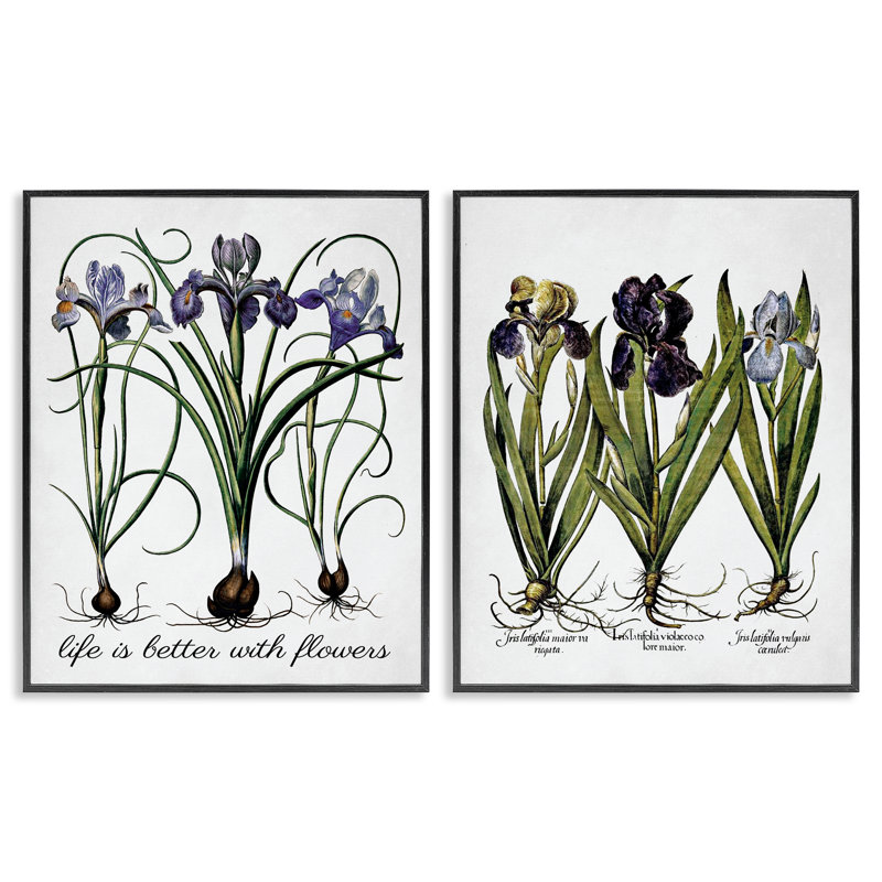 «Better with Flowers Iris Bulb», ensemble de 2 estampes numériques encadrées par lettrage et doublure, H 14 po x l 11 po