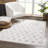 Dounia Transitional Performance Gray Area Rug-22349670