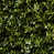 Olive Green is unavailable