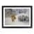 Black Framed selected