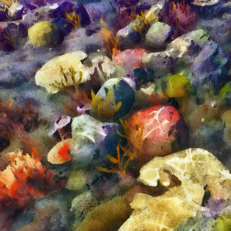 Sea Life III by Alonzo Saunders - Wrapped Canvas Painting, 30cm H x 30cm W x 3.8cm D