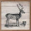 Vintage Deer-36096732