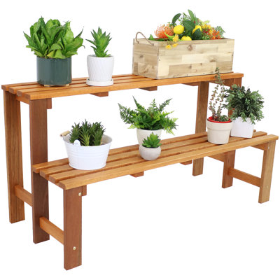 Etzel 47.25" x 19.5" x 24" 2-Tier Brown Meranti Wood Outdoor Plant Stand