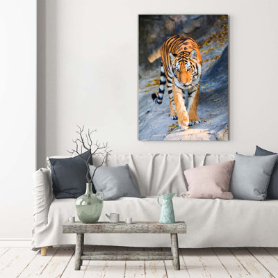 Tiger - Wrapped Canvas Print