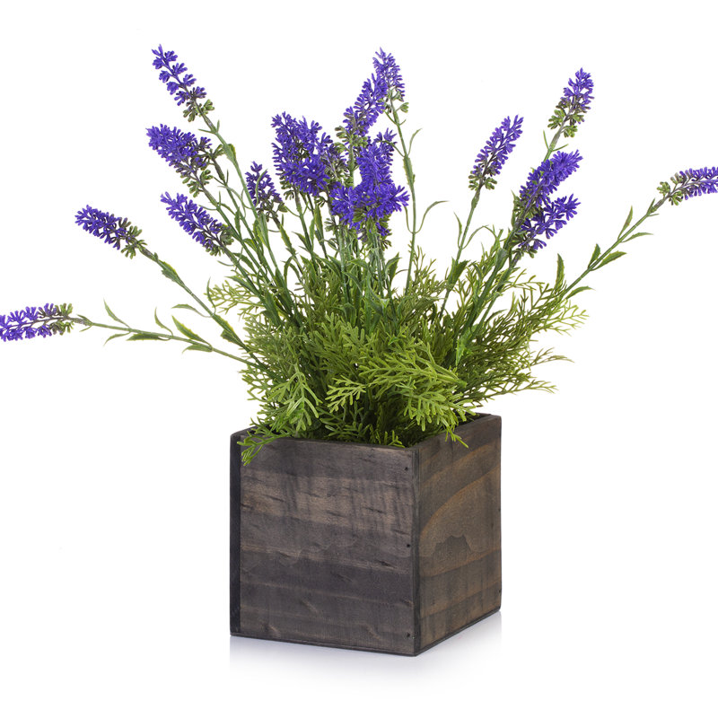 Lavender Arrangement in Planter