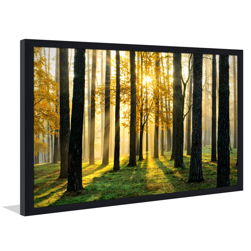 « many paths », reproduction de photo encadrée, H 35,5 po x l 51,5 po x P 0,75 po