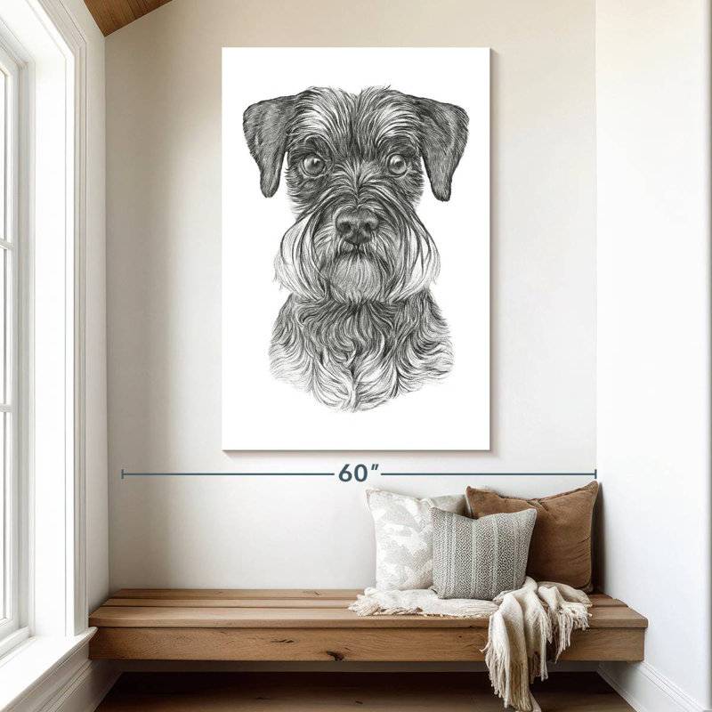 Schnauzer Brampt, H 51 po x l 34 po